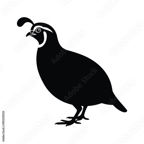 A striking silhouette of a california quail facing slightly to the right