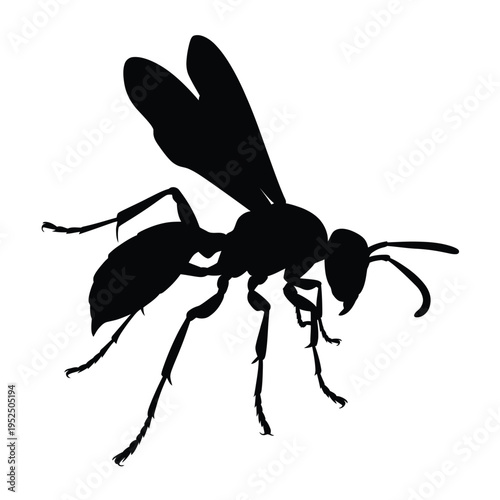 Silhouette of a wasp in flight showcasing detailed wing and leg structure