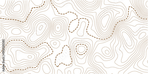 The stylized height of the topographic map contour in lines and contours isolated on transparent.Abstract moving topographic map lines background.