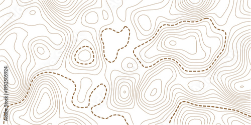 The stylized height of the topographic map contour in lines and contours isolated on transparent.Abstract moving topographic map lines background.