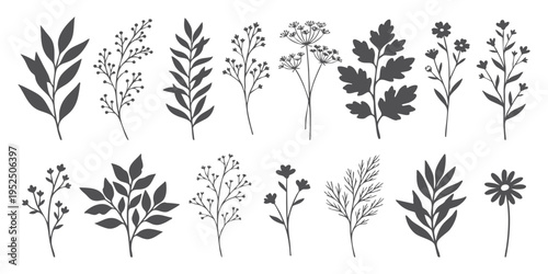 Set of black and white botanical illustrations of various plants and flowers vector graphic design elements