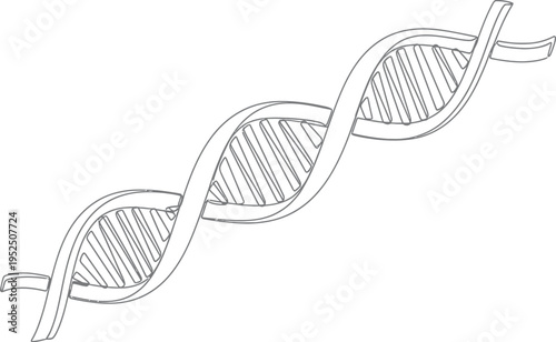 DNA Double Helix Structure Illustration