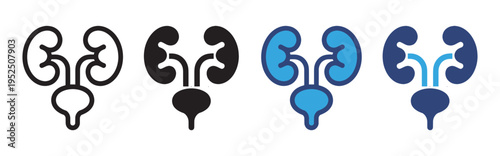 Urology Icon Set Vector Collection with Urinary System, Kidney, Bladder and Medical Health Symbols in Outline and Solid Styles