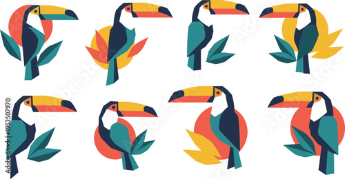 Colorful tropical toucan bird vector set with modern flat design, exotic wildlife illustrations and vibrant jungle leaves elements