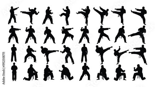 Various martial arts poses and movements depicted