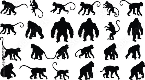Monkey and gorilla silhouettes collection featuring various primates in walking, climbing, and standing poses isolated on white background for wildlife and animal design