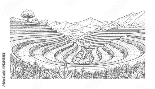 Lush green terraced rice fields with mountains in the terraces agriculture landscape