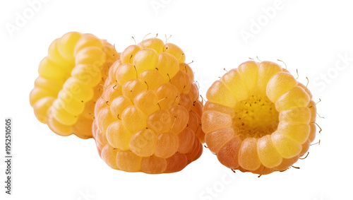 Isolated fresh ripe yellow raspberries, sweet fruit for healthy eating and summer desserts.