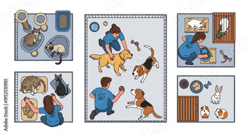 Animal Shelter Care: Volunteers interacting with cats, dogs, and small pets