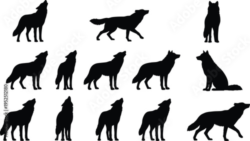 Wolf silhouettes collection featuring howling, standing, and walking wild canine poses isolated on white background for wildlife, nature, predator, and animal design concepts