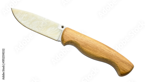 Photography Isolated refined folding pocket knife with light composite blade and natural woo