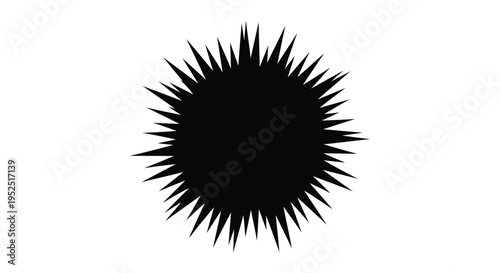 Black sunburst icon vector