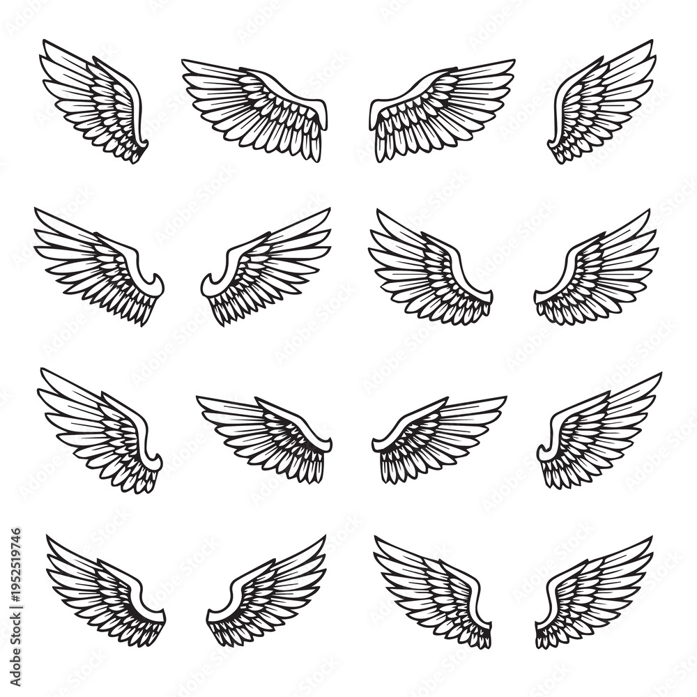 Obraz premium Collection of Hand Drawn Angel Wings Set Vector Illustration