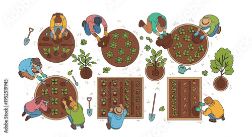Diverse people gardening together in community plot, planting vegetables, top view illustration