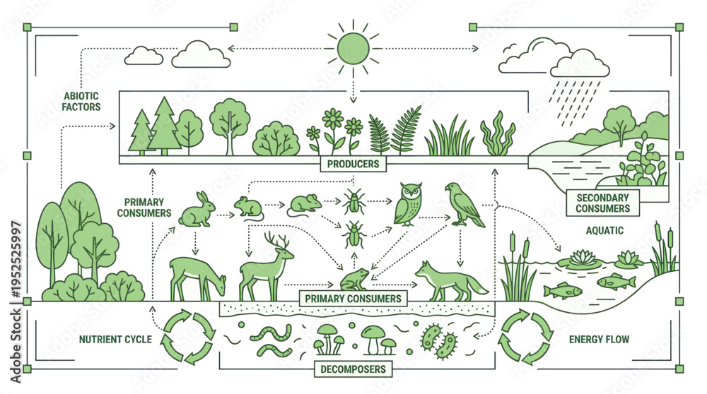 Εκτύπωση καμβά Ecological Food Web and Ecosystem Cycle Diagram.