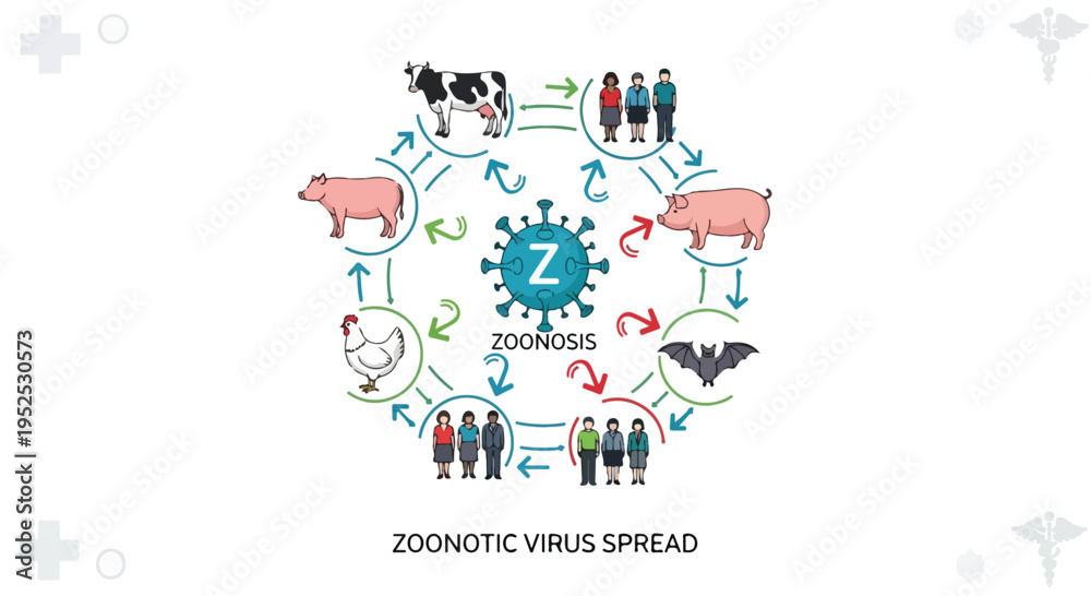 Naklejka premium Zoonotic Virus Spread Diagram showing Transmission from Animals like Pig, Cow, Chicken, Bat to Humans isolated PNG with Transparent Background