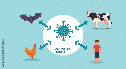Zoonotic Disease Transmission Diagram with Virus, Bat, Cow, Chicken, and Human Icons isolated PNG with Transparent Background