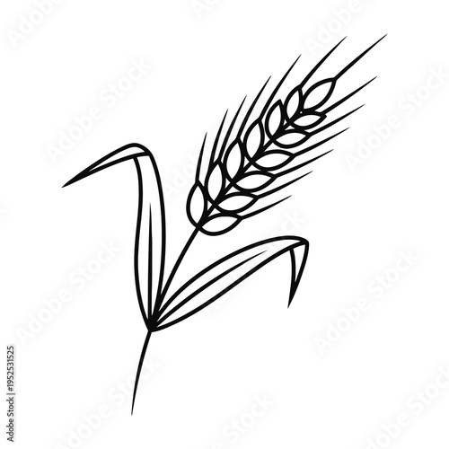 Minimalist black and white illustration of wheat stalk with detailed grain texture for agricultural concepts
