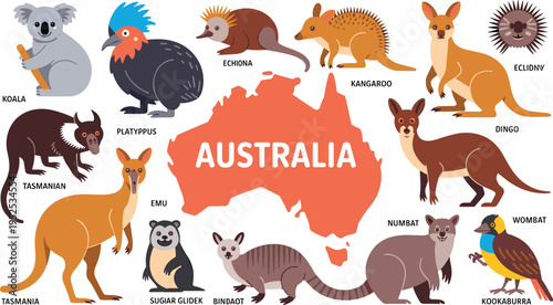 Australian wildlife collection with map of Australia featuring kangaroo koala emu platypus dingo and tasmanian devil vector illustration