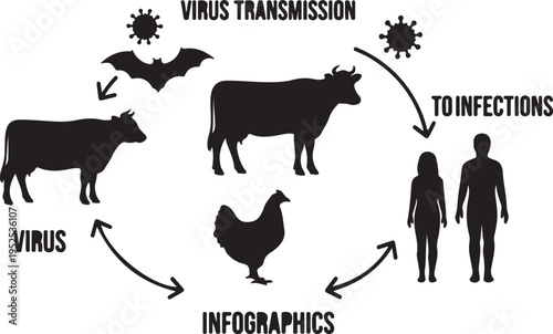 Zoonotic Virus Transmission Cycle Infographic. Animal to Human Infection Diagram. Isolated Vector Graphic. isolated PNG with Transparent Background