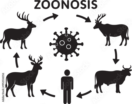 Zoonosis Disease Transmission Diagram with Virus, Deer, Cattle, and Human Silhouettes isolated PNG with Transparent Background