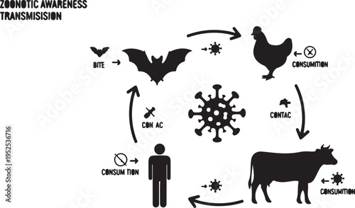Black Zoonotic Disease Transmission Cycle Vector Diagram with Bat, Chicken, Cow, Human, and Virus - 'Zoonotic Awareness Transmission' isolated PNG with Transparent Background