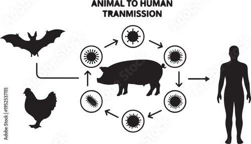 Animal to Human Transmission Zoonotic Disease Cycle Vector Illustration isolated PNG with Transparent Background