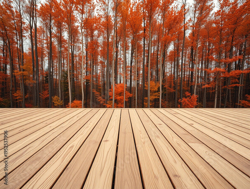 Wooden deck floor with perspective lines overlooking a dense forest of tall trees with vibrant orange autumn foliage