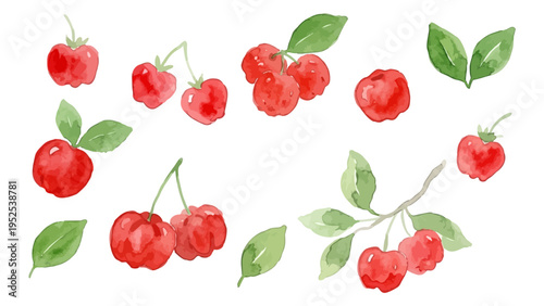 Watercolor-style fresh acerola fruit illustration, ripe red cherry for vitamin C and beauty　水彩　アセロラ