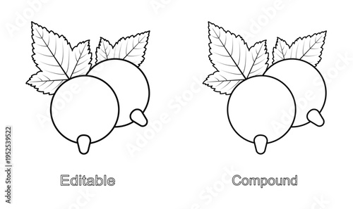 Currant berry set, isolated on a white background. Editable and compound outline drawing. Linear icon, vector illustration. Template for coloring page.
