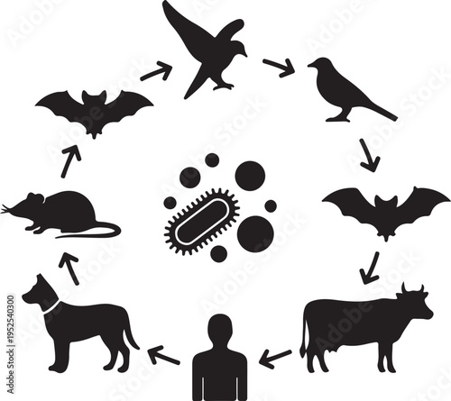 Zoonotic Disease Transmission Cycle Vector Illustration isolated PNG with Transparent Background