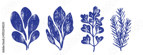 Hand Drawn Herb Leaf Vector Set — Blue Botanical Illustration Collection. Sketch Plant Art with Brush Texture. Culinary Herbs: Rosemary, Sage, Thyme. Rustic Kitchen Design, Rough Brushstroke, Indigo
