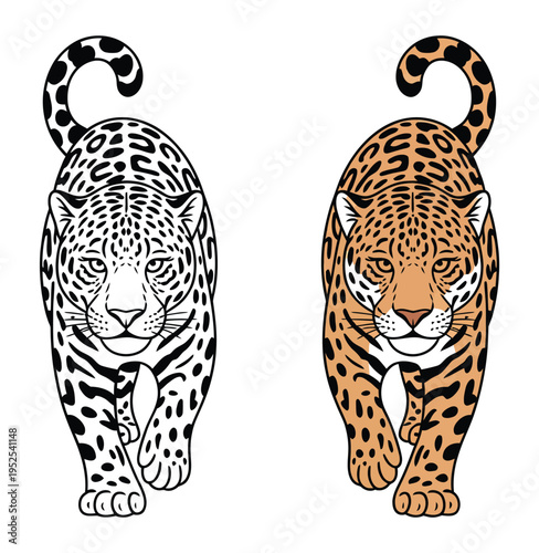 Two jaguars walking forward, one in black and white outline and the other in natural brown and black spots, both facing the viewer.