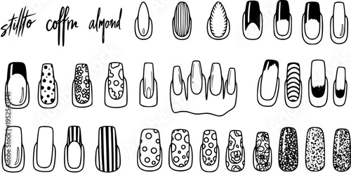 Black and White Line Art of Various Nail Shapes and Designs, Vector Stock Asset