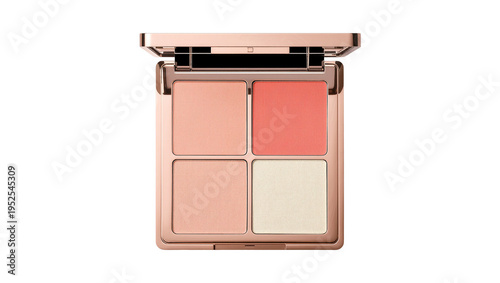 Obraz na plátně Isolated elegant open makeup palette showing various shades of blush and face po