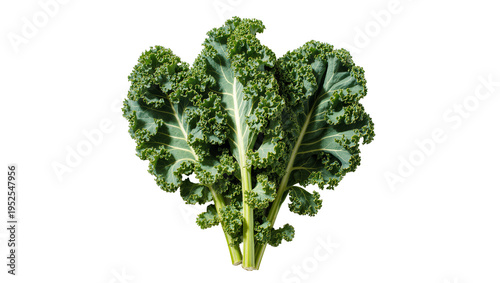 Konstfotografi Isolated fresh green kale leaves raw organic vegetable healthy food ingredient c