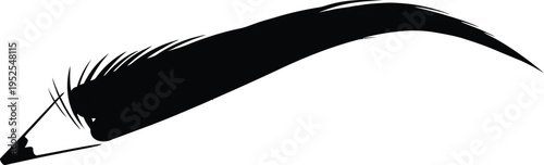 A black eyeliner brush on a white background