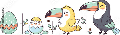 Cute toucan bird life cycle with egg hatching chick and adult stages tropical cartoon vector illustration set for kids