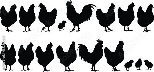 Collection of chicken and rooster silhouettes with chick, farm poultry set, rural animal theme, minimal black illustration isolated background