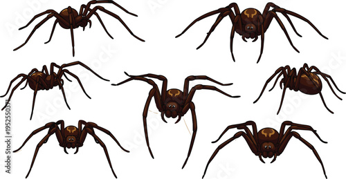 Realistic spider collection with multiple poses detailed creepy crawling arachnid set isolated brown insects horror wildlife vector illustration