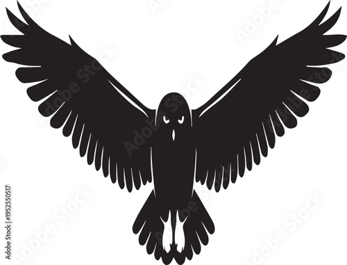 Arctic Snowy Owl Flying Wings Spread Silhouettes