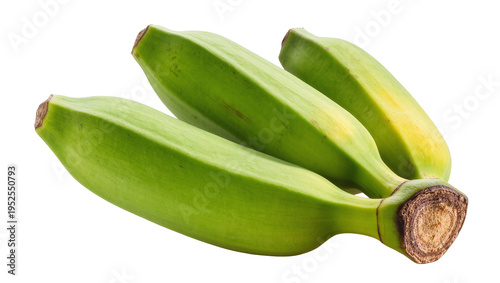 Isolated fresh green raw plantains, healthy tropical food ingredient for cooking cuisine