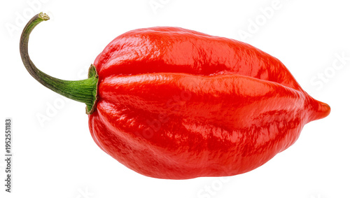 Foto Isolated fresh red chili pepper a very spicy Habanero type on a pure studio shot