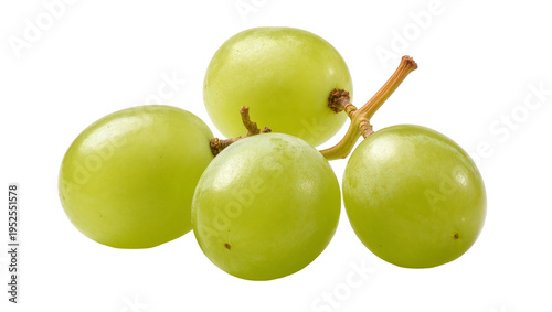 Isolated five fresh vibrant green grapes with small stem, healthy sweet fruit snack