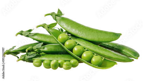 Fotografía Isolated fresh green pea pods, some open with bright round peas, healthy vegetab