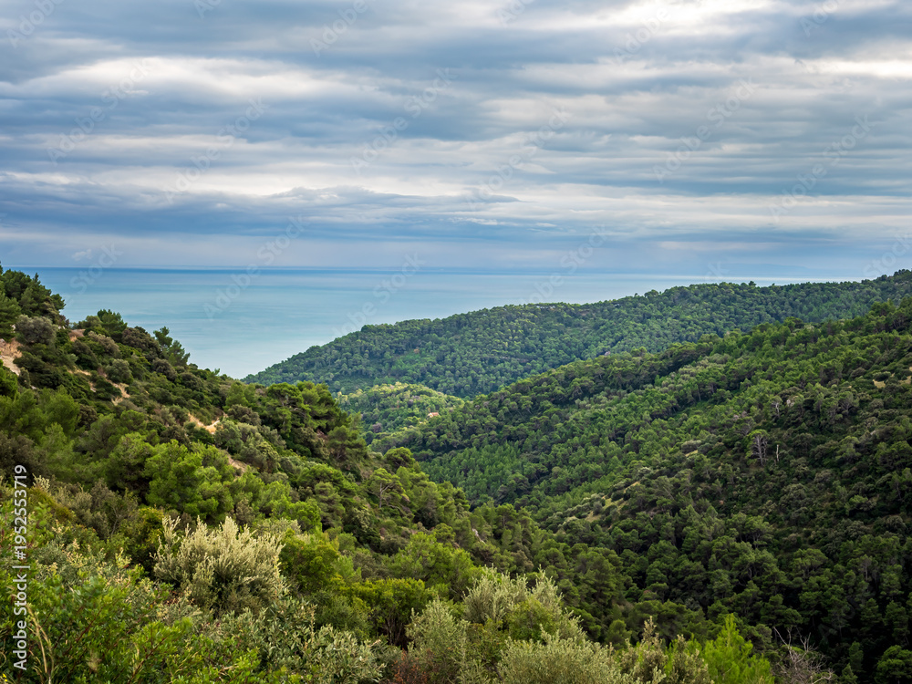 Fototapeta premium Lush green forest hills meeting the sea in Apulia, Italy