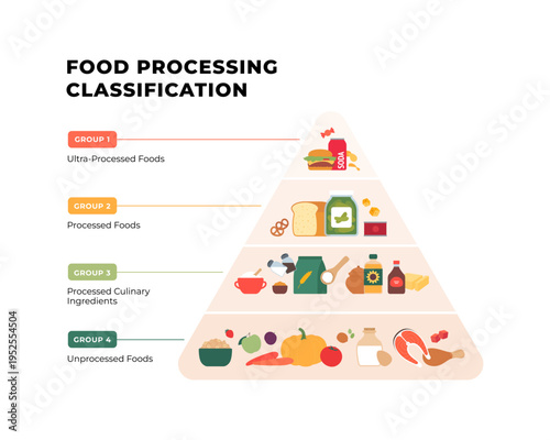 Vector flat infographic of NOVA food processing classification pyramid. Diagram shows 4 levels from unprocessed healthy diet base to ultra-processed junk food top.