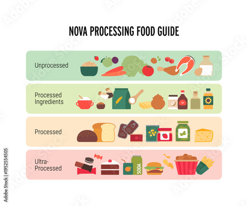 Vector flat vertical infographic of NOVA food processing classification. Chart shows 4 groups from unprocessed to ultra-processed fast food. Diet and nutrition guide.