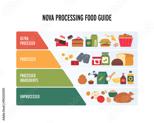 Vector flat infographic of NOVA food processing classification. 4 column chart from unprocessed healthy diet to ultra-processed junk food. Nutrition and health guide.