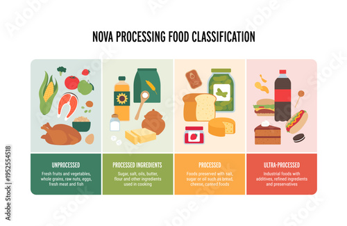 Vector flat infographic of NOVA food processing classification. Chart shows 4 groups: unprocessed, processed ingredients, processed, and ultraprocessed foods with examples. Healthy diet guide.